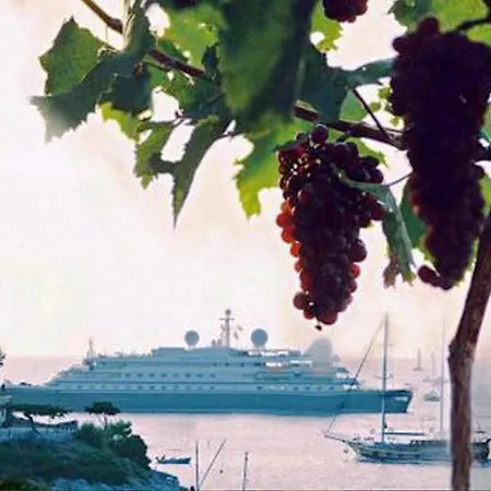 펜션 Holiday Cherry Hvar 4+2 *