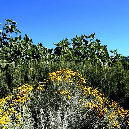 בית נופש Holiday Cherry Hvar 4+2 *
